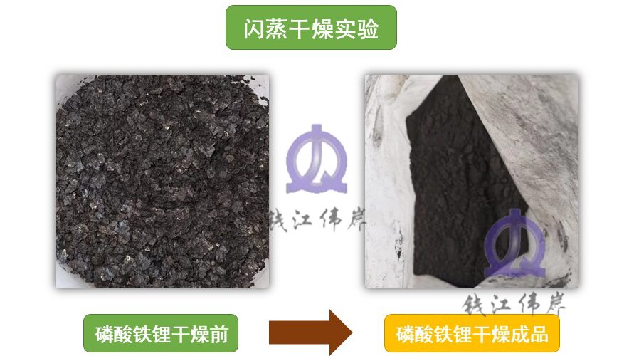 1706690302853772.jpg 磷酸鐵鋰.jpg